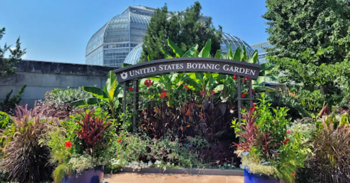 United States botanic garden