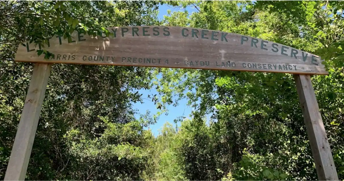 Little Cypress creek preserve