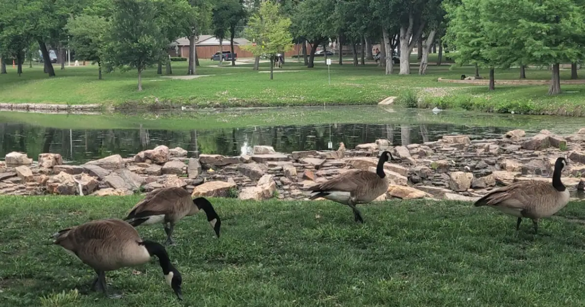 Cottonwood lake park